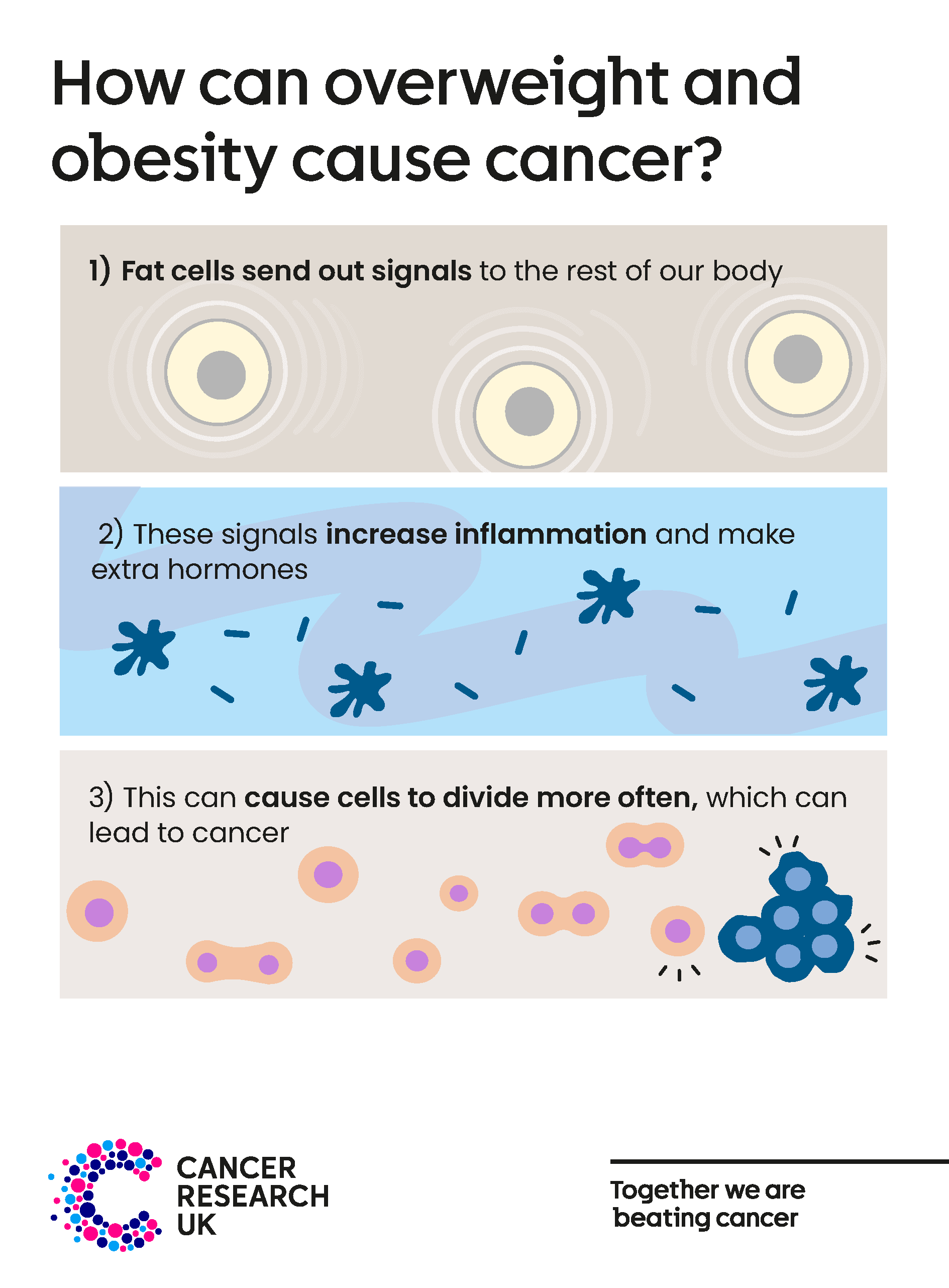How does overweight and obesity cause cancer.