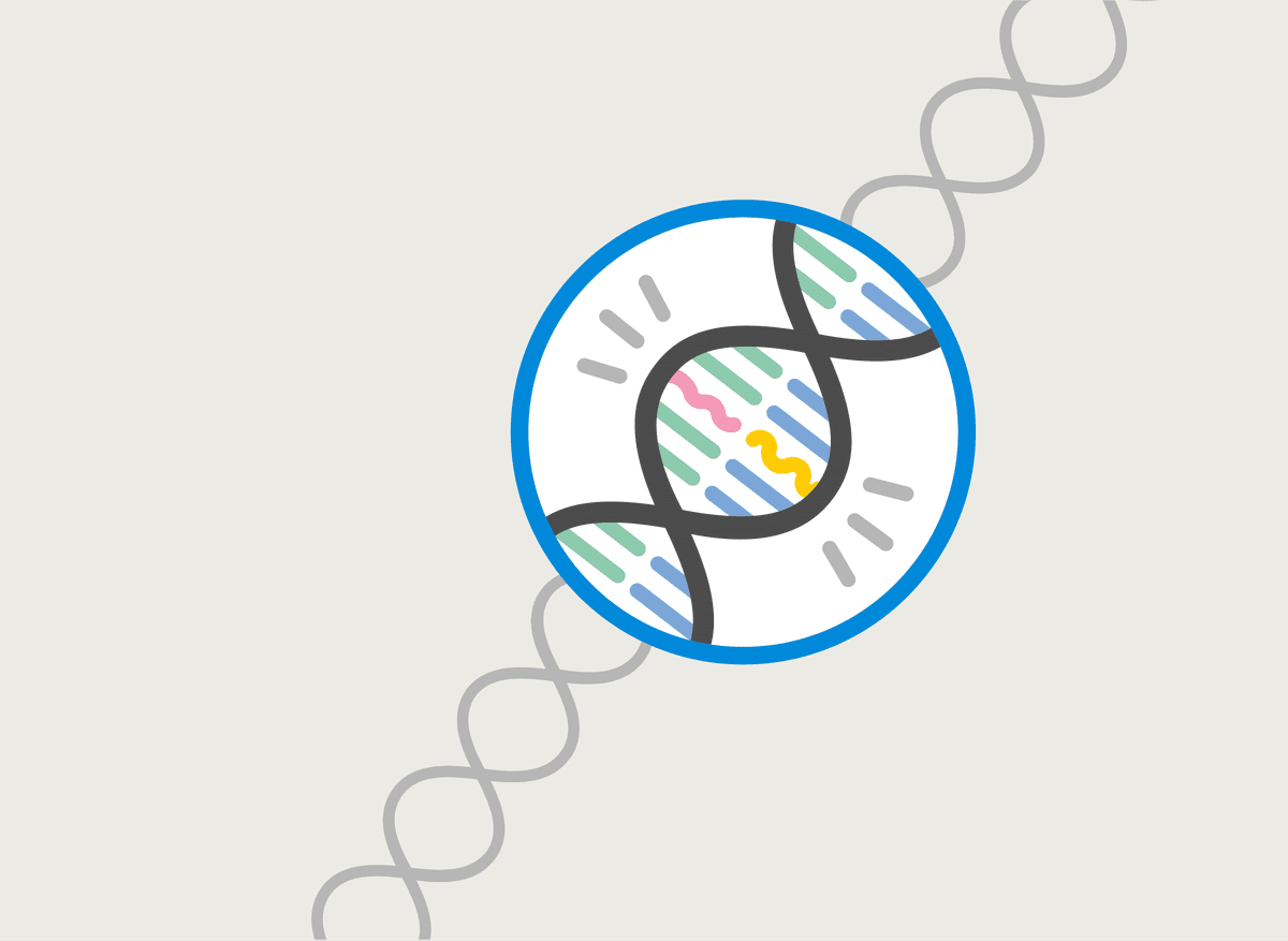 DNA Genome illustration.