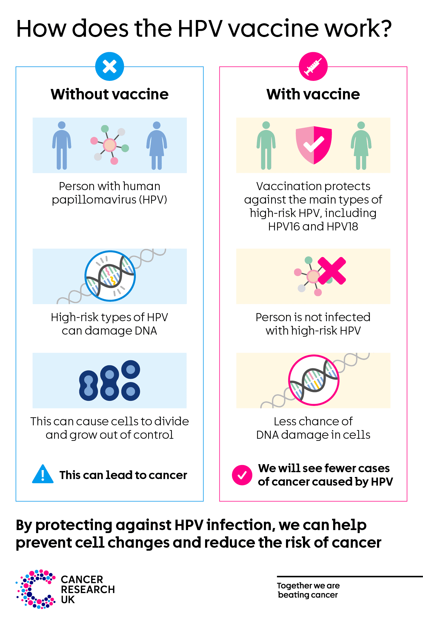 How does the HPV vaccine work.